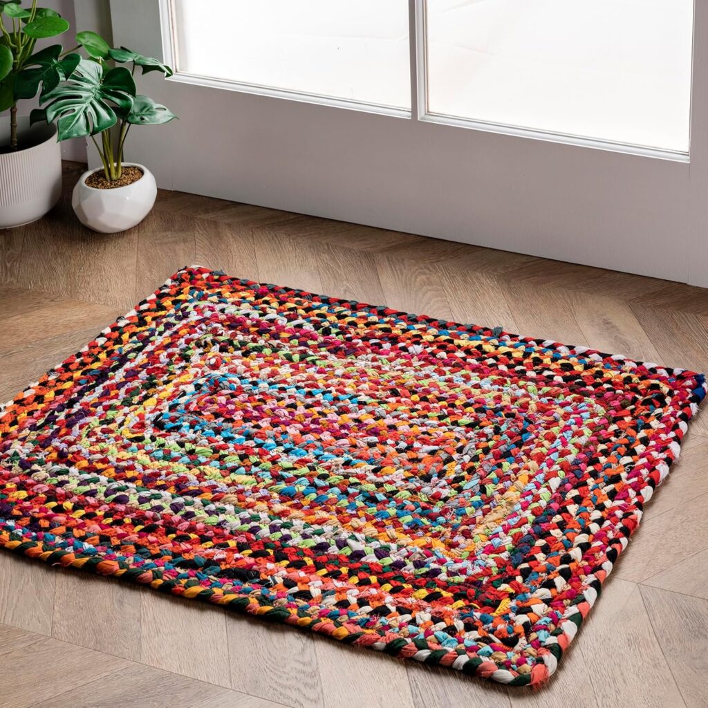 nuLOOM Tammara Bohemian Hand Braided Accent Rug, 2x3, Multi